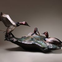 Canvasback